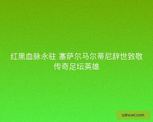 红黑血脉永驻 塞萨尔马尔蒂尼辞世致敬传奇足坛英雄
