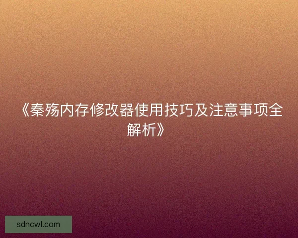 《秦殇内存修改器使用技巧及注意事项全解析》